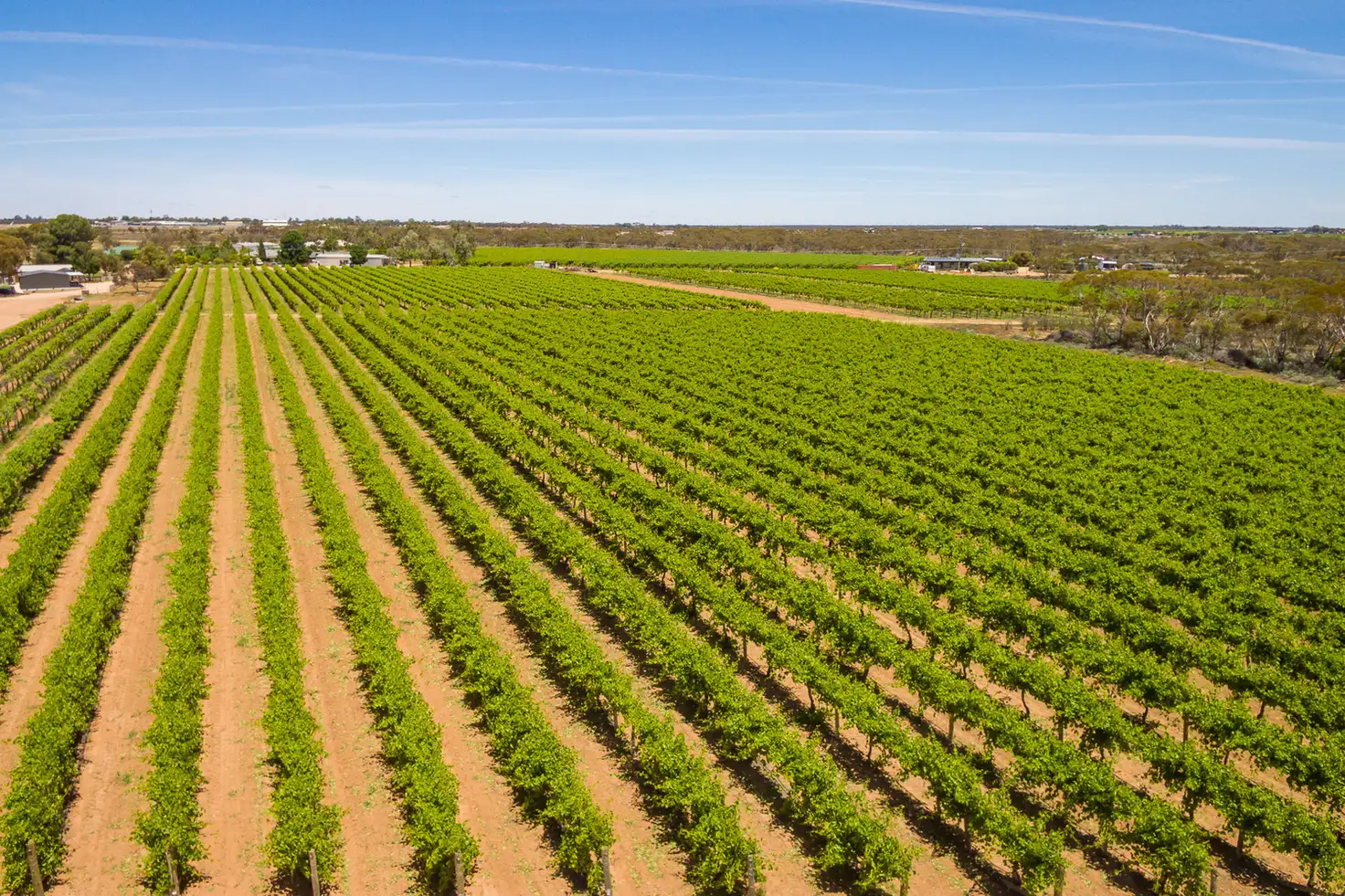 Main view of Homely rural property listing, Lot/2 & 3 Dow Avenue, Cabarita VIC 3505