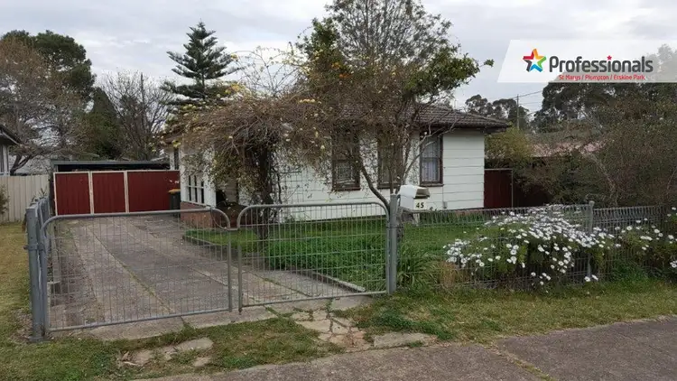 45 Idriess Crescent, Blackett NSW 2770