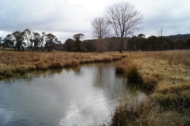 150 Elderberry Road, Black Mountain NSW 2365