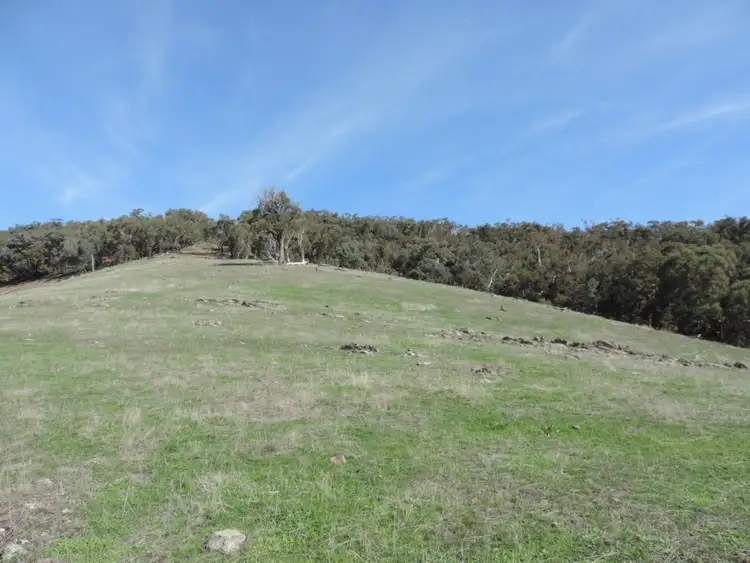 Fourth view of Homely rural property listing, 671 Bridge Creek Road, Binda NSW 2583