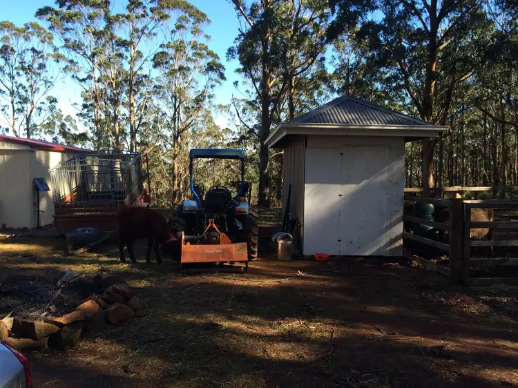 Fifth view of Homely rural property listing, 70 Braidwood Road, Sassafras NSW 2622
