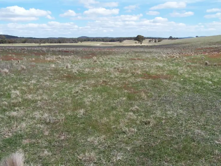 Fourth view of Homely rural property listing, Adore Bullamalita Road, Goulburn NSW 2580