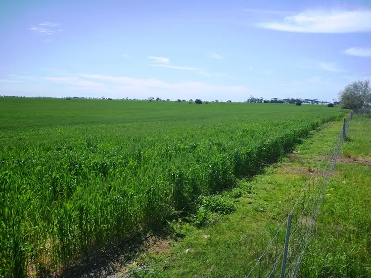 Third view of Homely rural property listing, 260 Lake Fowler Road, Coobowie SA 5583