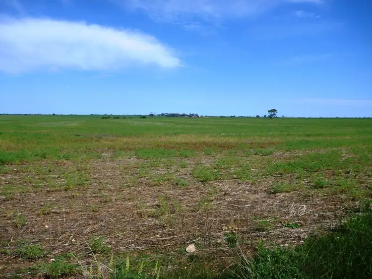 Seventh view of Homely rural property listing, 260 Lake Fowler Road, Coobowie SA 5583