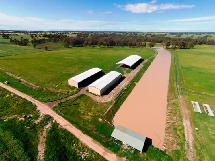 1 Warneckie Street, Wunghnu VIC 3635