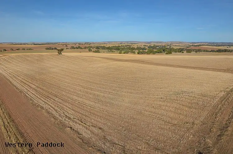 Second view of Homely rural property listing, 480, 481 & 495 Thiele Highway, Kapunda SA 5373