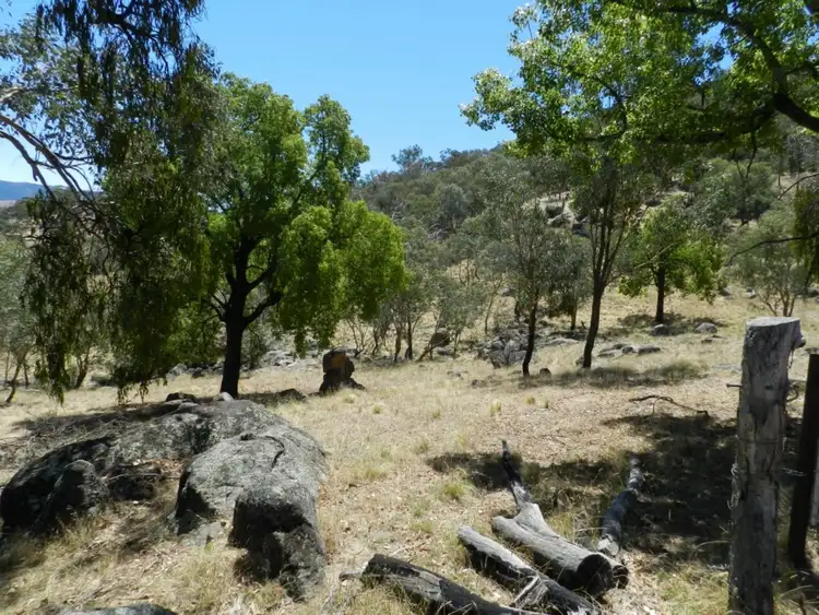 Fifth view of Homely rural property listing, 2228 Grabine Road, Bigga NSW 2583