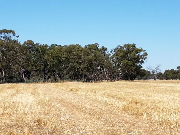 Third view of Homely rural property listing, 445 Kelly's Road, Numurkah VIC 3636
