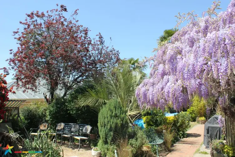 Fifth view of Homely house listing, 360 Stewart Street, Bathurst NSW 2795