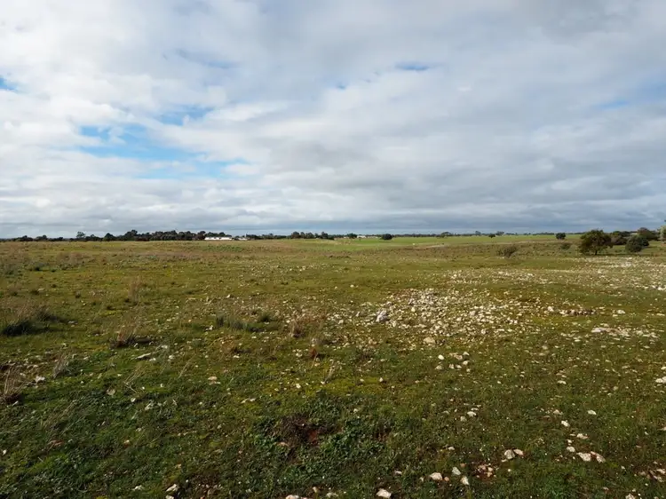 Second view of Homely rural property listing, 528 Mallee Highway, Tailem Bend SA 5260