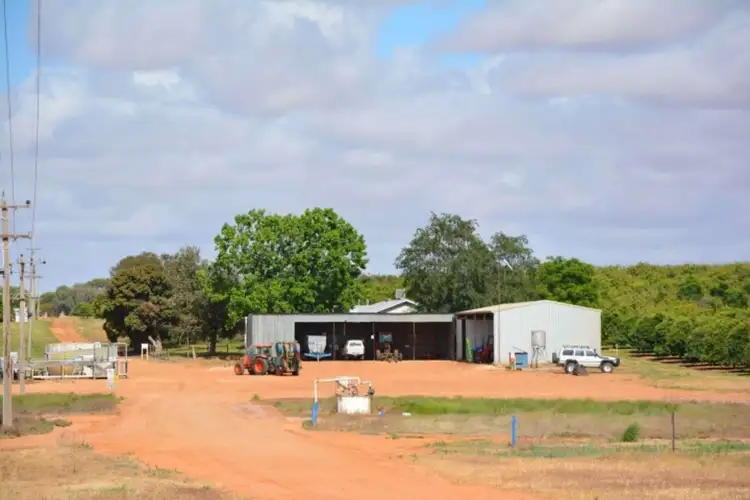 Third view of Homely rural property listing, 166 George Irwin Road, Colignan VIC 3494