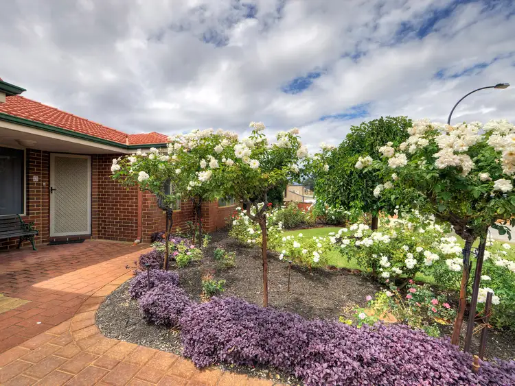 Third view of Homely house listing, 29 Phar Lap Road, Wattle Grove WA 6107