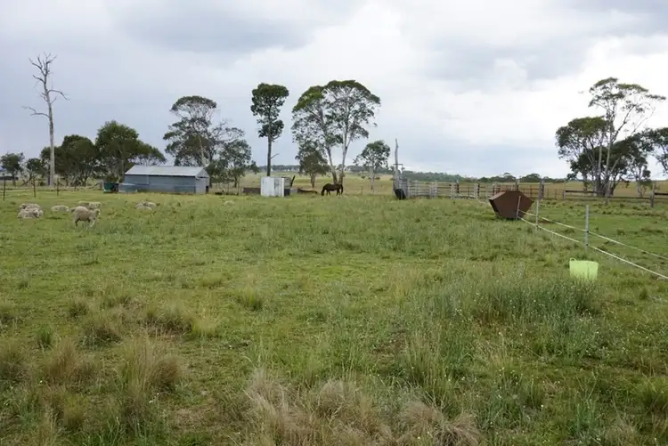 Sixth view of Homely rural property listing, 30 Wards Mistake Road, Guyra NSW 2365