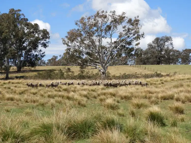 Second view of Homely rural property listing, Lot 2 Towrang Road, Towrang NSW 2580