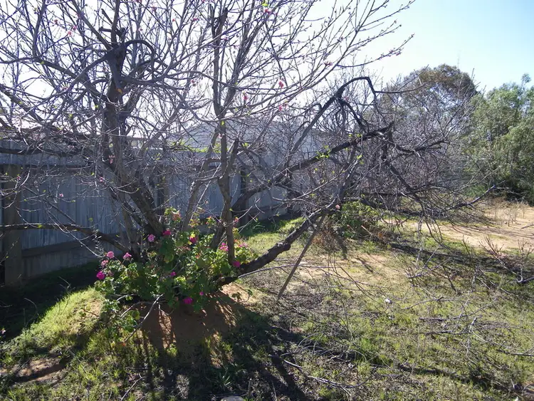 Seventh view of Homely house listing, 11 & 13 Branford Street, Port Pirie SA 5540