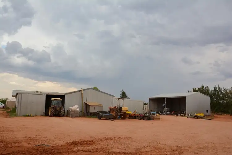 Fourth view of Homely rural property listing, 206 Paringi Road, Paringi NSW 3500