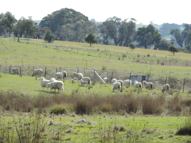 Fourth view of Homely rural property listing, 197 Kangaloolah Road, Binda NSW 2583