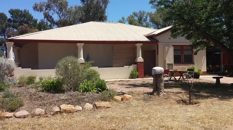 Main view of Homely rural property listing, 211 Pattingale Road, Port Broughton SA 5522