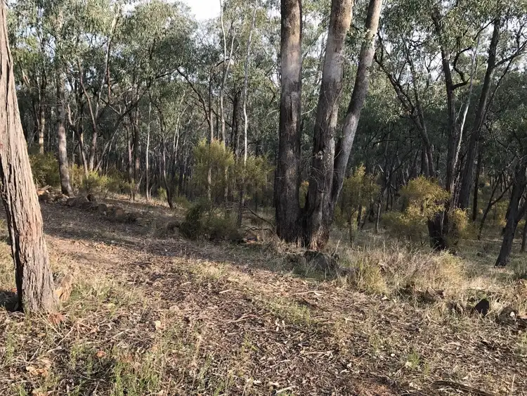 Fifth view of Homely land listing, 172 Native Gully Crescent, Eppalock VIC 3551