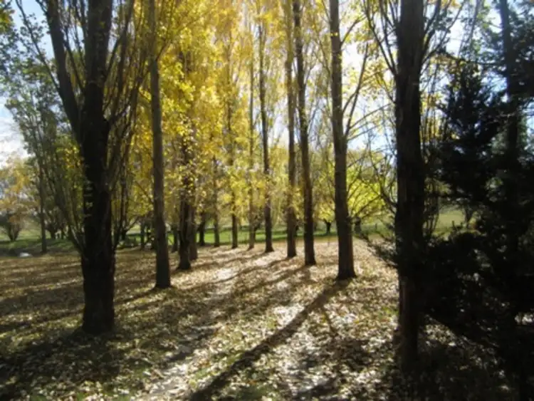 Third view of Homely rural property listing, Address available on request