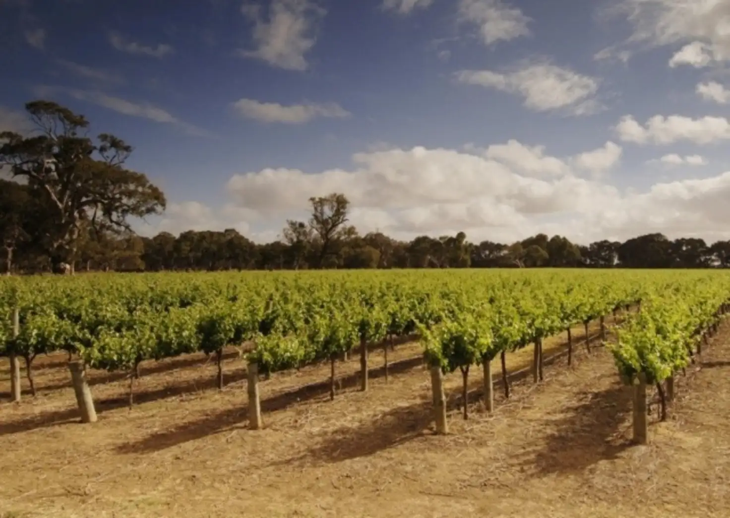 Main view of Homely rural property listing, 193 Richmore Road, Milang SA 5256