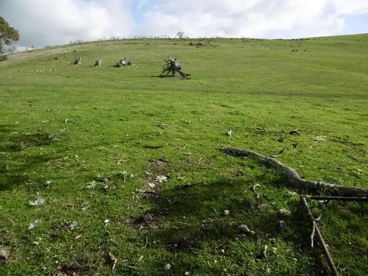 Fifth view of Homely rural property listing, Sec 195 Mills Road, Beetaloo SA 5523