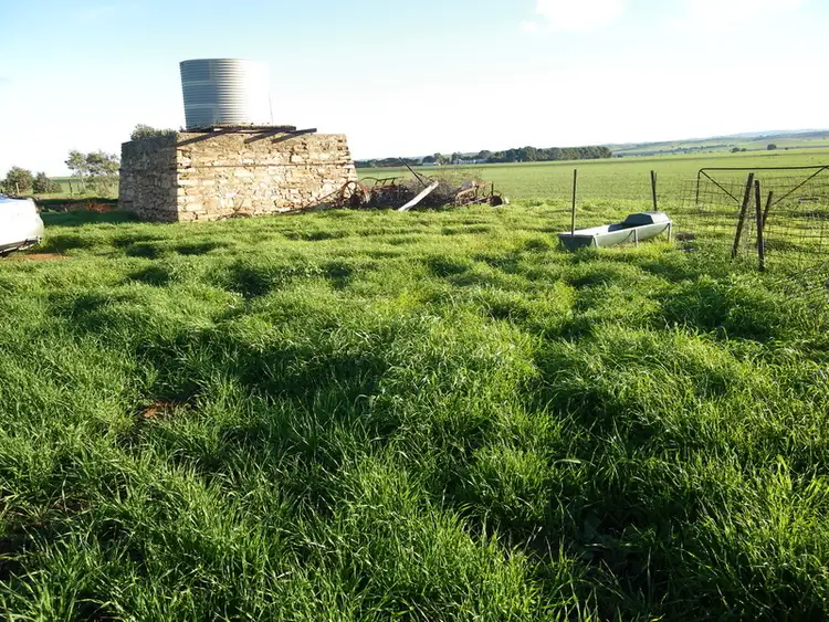 Fifth view of Homely rural property listing, Secs. 80, 81N & 81S Hundred, Appila SA 5480