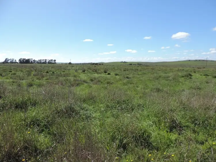 Sixth view of Homely rural property listing, Lot 1 Roseview Estate, Tarago NSW 2580