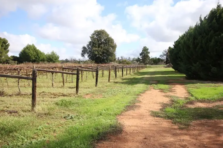 Sixth view of Homely rural property listing, Block 207 Calder Highway, Red Cliffs VIC 3496
