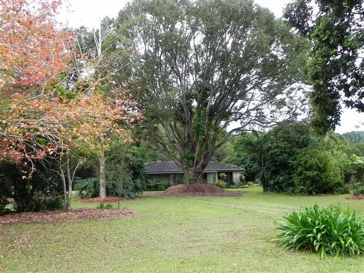 Seventh view of Homely rural property listing, 570 Main Arm Road, Mullumbimby NSW 2482