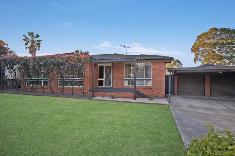 Main view of Homely house listing, 19 Way Street, Tenambit NSW 2323
