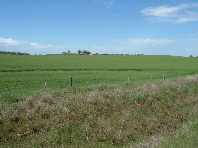 Fourth view of Homely land listing, "Ippinichie", Main Road, Wirrabara SA 5481