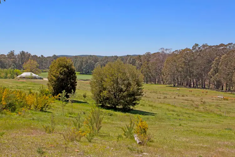 Fourth view of Homely house listing, 60A Lower Nine Mile Road, Stanley VIC 3747