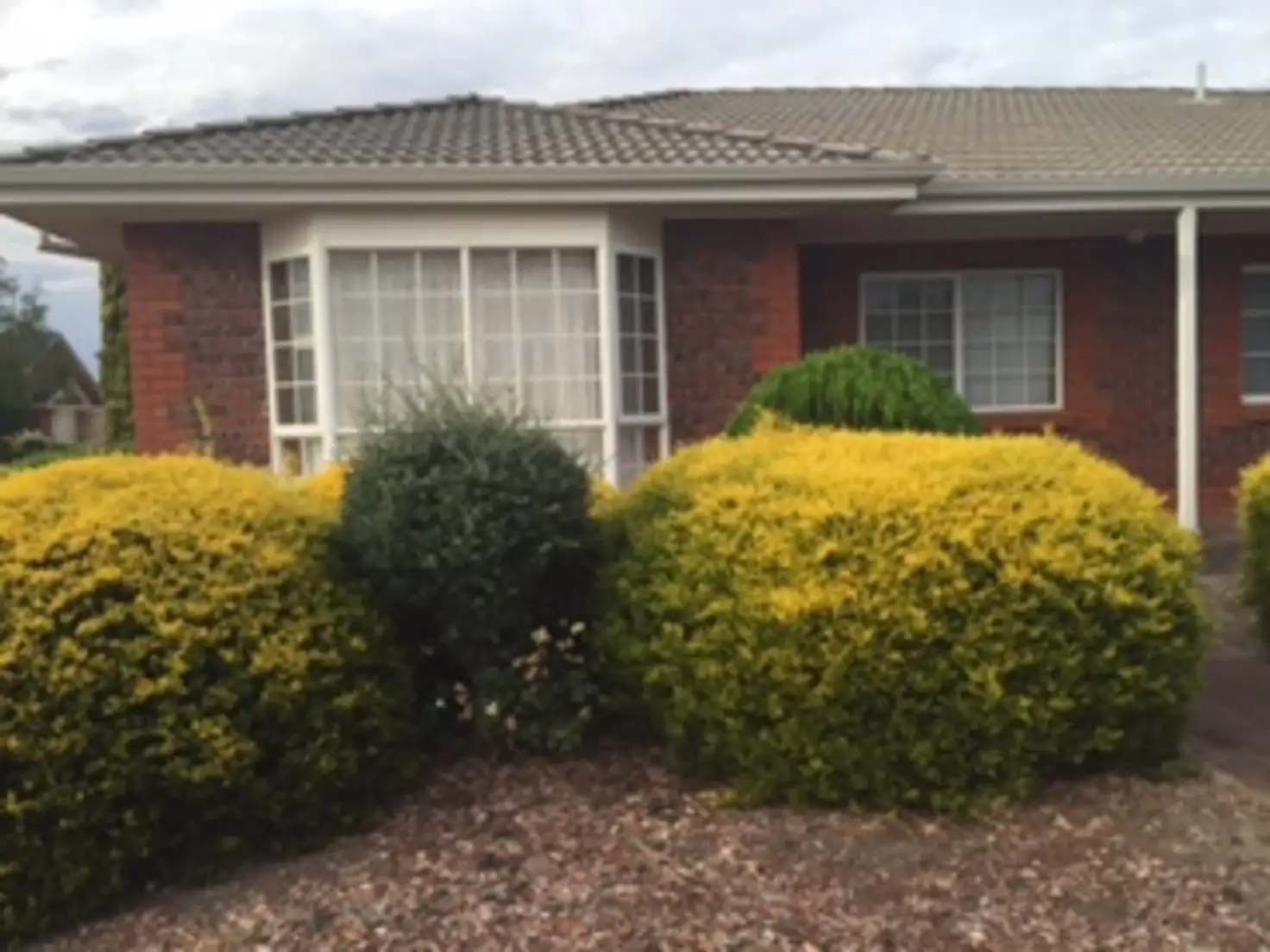 Main view of Homely house listing, 16 Dangelica Court, Newton SA 5074