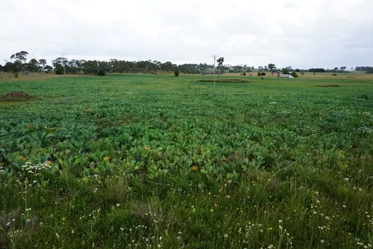 Seventh view of Homely rural property listing, 30 Wards Mistake Road, Guyra NSW 2365