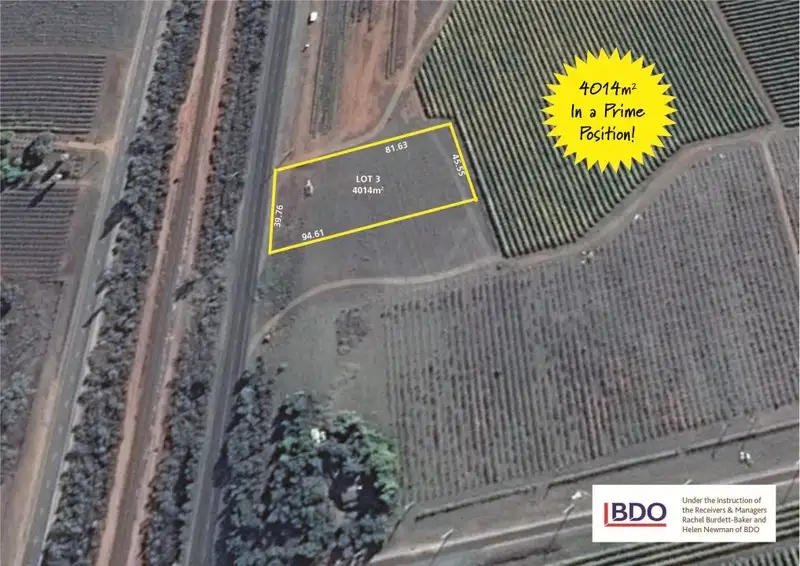 Main view of Homely rural property listing, Lot 3 Calder Highway, Red Cliffs VIC 3496