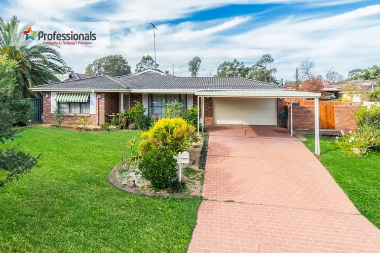 10 Kunipipi Street, St Clair NSW 2759