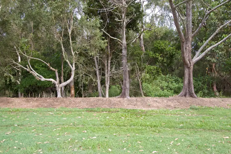 Sixth view of Homely house listing, 38 Botanical Circuit, Banora Point NSW 2486