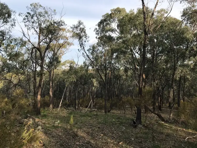 Seventh view of Homely land listing, 172 Native Gully Crescent, Eppalock VIC 3551