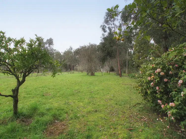 Second view of Homely house listing, 11 Evans Grove, Wandin North VIC 3139