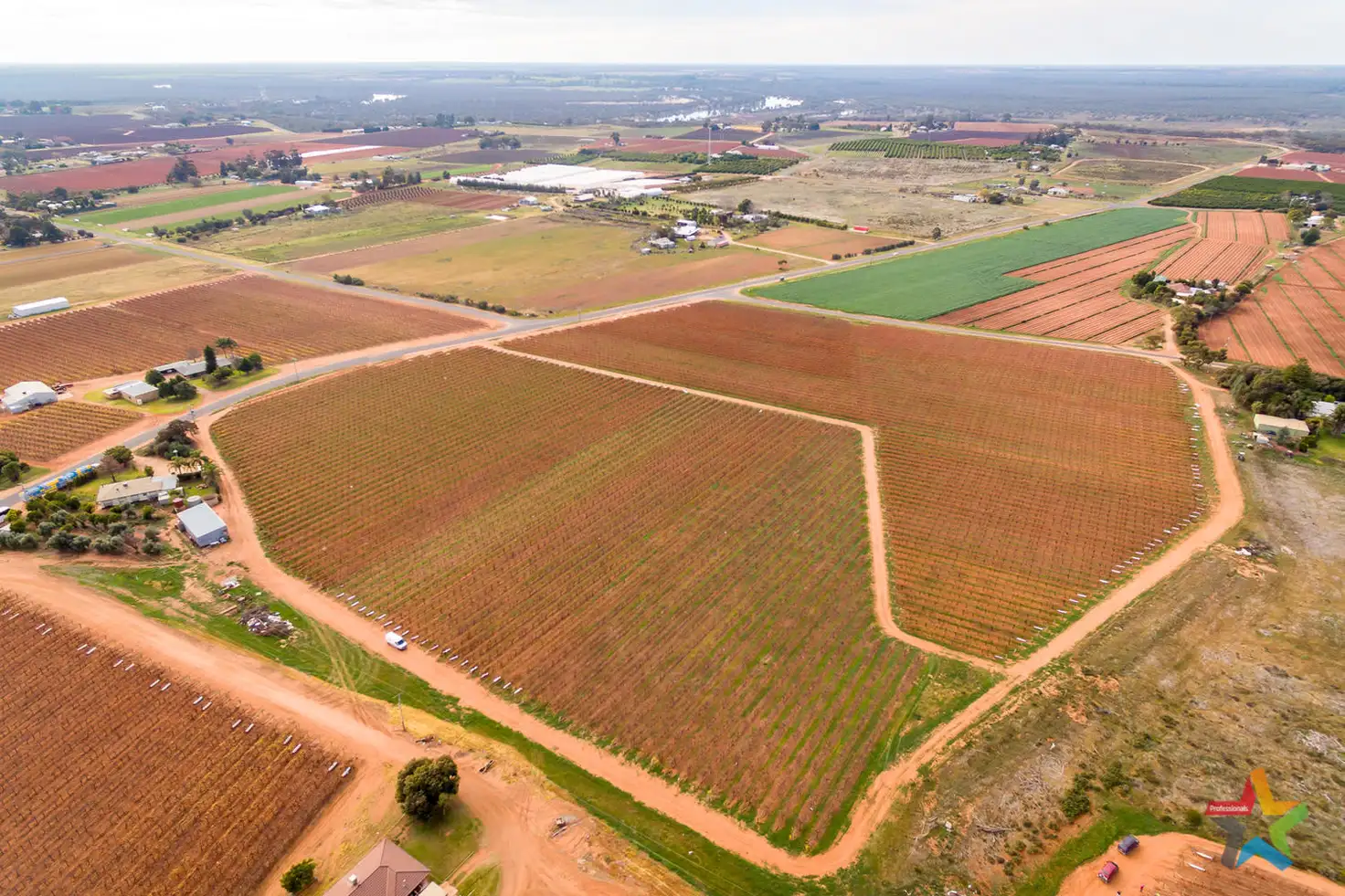 Main view of Homely rural property listing, 220 Stewart Road, Red Cliffs VIC 3496