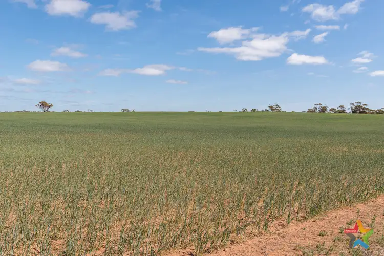 Seventh view of Homely rural property listing, Lots/1 - 8 Meridian Road, Wargan VIC 3505