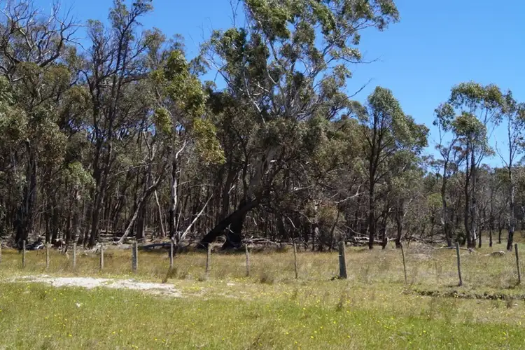 Sixth view of Homely rural property listing, 773 Loxton Road, Guyra NSW 2365