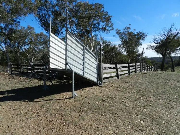 Fifth view of Homely rural property listing, 1374 Kangaloolah Road, Binda NSW 2583