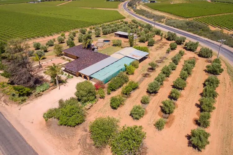Second view of Homely rural property listing, 4 Tulloch Road, Red Cliffs VIC 3496