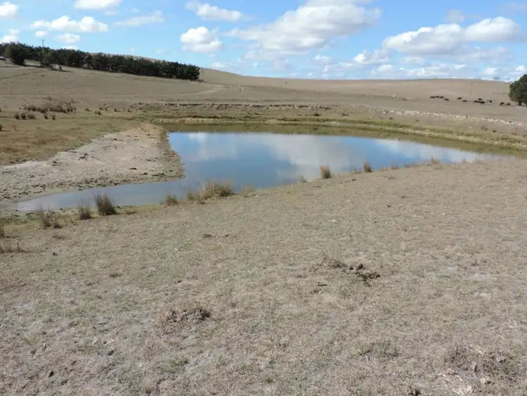 Fifth view of Homely rural property listing, 304 Dawsons Creek Road, Pejar NSW 2583