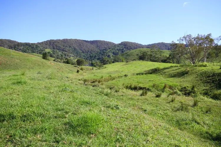 Fifth view of Homely rural property listing, 350 Upper Pinbarren Creek Road, Pinbarren QLD 4568