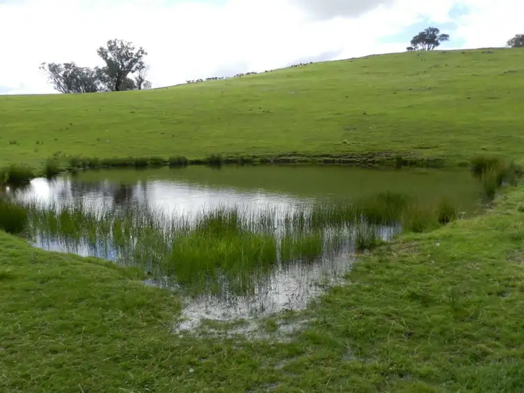 Fourth view of Homely rural property listing, Lot 84 Greenmantle Road, Bigga NSW 2583