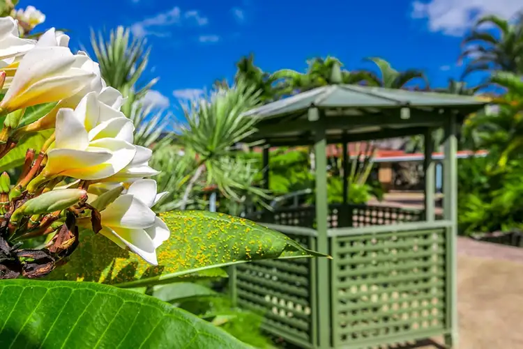 Sixth view of Homely unit listing, 3/1 Rajah Road, Ocean Shores NSW 2483