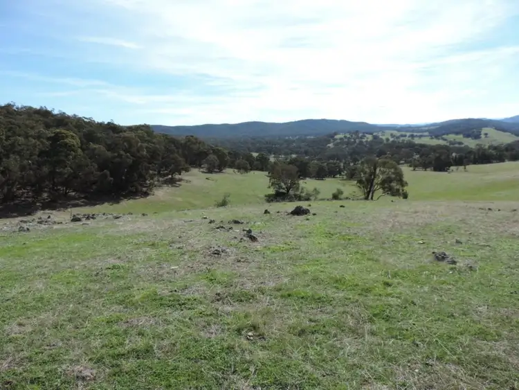 Seventh view of Homely rural property listing, 671 Bridge Creek Road, Binda NSW 2583